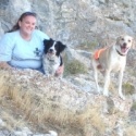 My Spoiled Dog Blog : 