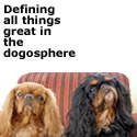 Moshi & Kibo's Dog Blog : Defining all things great in the dogosphere