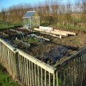 Up The Garden Path : Our Journey Through Ignorance to Self-Sufficiency