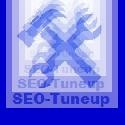 SEO-Tuneup : Search Engine Optimization