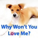 Paws Awhile : You WILL make a difference
