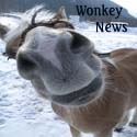 Wonkey News : The Wonkey side of the world's news.