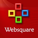 Web Square Developers : 