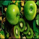 Health and Nutrition : Providing Quality Information relating to health and nutrition