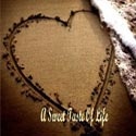 A Sweet Taste Of Life : Aspiration.Opinion.Suppressed Feelings.