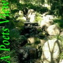 A Poets View : Poetic Musings