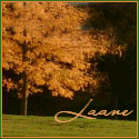 Laane on the World : Laane blogs about everything on the world.
