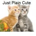 Just Plain Cute : 