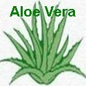 Aloe Vera Blog : Aloe Vera for Health, Beauty and Luck