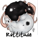 Rattitude : 
