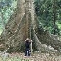 vacation and tourism : Indonesia Tourism