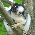 Pix-N-Pens : Writing and Photos - Craft & Contests