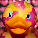Who Gives a Duck? : We give a duck...