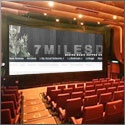 7milesdown : Making Magic Happen on a little Island Paradise