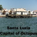 Santa Luzia : Octopus Capital.