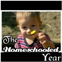 The Home-Schooled Year : Because we all need the basics.