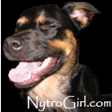 NytroGirl : The infinite ramblings of Nytro Girl.