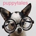 puppytales : everything dogs