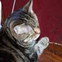 World Mews Update : Random musings about many different things