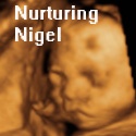 Nurturing Nigel : Marriage, Parenting, Family and Everything Else in Between
