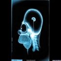 Kingnutin : lowers your sense of humour in no time at all....