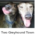 Two Greyhound Town : Greyhound & RVing Tales