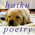 a haiku poem blog ... daily short poems, 3 line poetry, haikus : daily haiku poetry, or at least i try :)