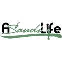 A Saudi Life : A view of Saudi Arabia and the World from a Saudi perspective