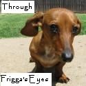 Through Frigga's Eyes : See The World As I Do