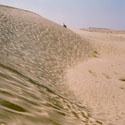 India Through Photographs : Travel exotic tourism india desert temple hill beach forest flora fauna 