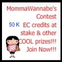 Momma Wannabe : One woman's journey motherhood.
