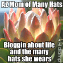 AZ Mom of Many Hats : A Blog About Life...
