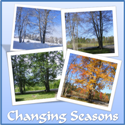 Changing Seasons : Changing Seasons in Maine