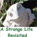 A Strange Life Revisited : 
