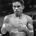 The Puncher's Chance : Float like a butterfly, sting like an SOB.