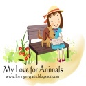 My Love for Animals : Life & Love with 5 dogs & 3 Cats