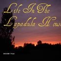 Life In The Lapadula House : home,family,humor