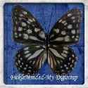 FickleMinded-My Digiscrap : My digiscrap project