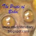 The Pride of Hingotanan Bohol : life, journey to success, life's diary, personal experiences
