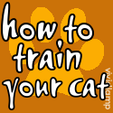 How to Train Your Cat : Cat Training Video Blog