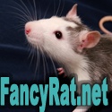 FancyRat.net : 