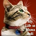 My Life as Mama Jodi : 