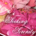 Seeking Serenity : a personal blog