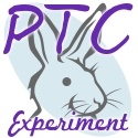 BunGirl's PTC Experiment : Can you really earn money on PTC sites?