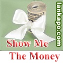 SHOW ME THE MONEY : Trying HARD to make Money online