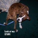 From Angus With Love : 