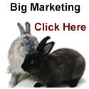 Big Marketing : Multiply Your Income Like Rabbits