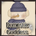 Domestic Goddess Alive : A Life Blog