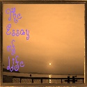 The Essay of Life : 
