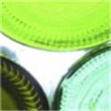 grapeinabottle : a blog about wine and wine products